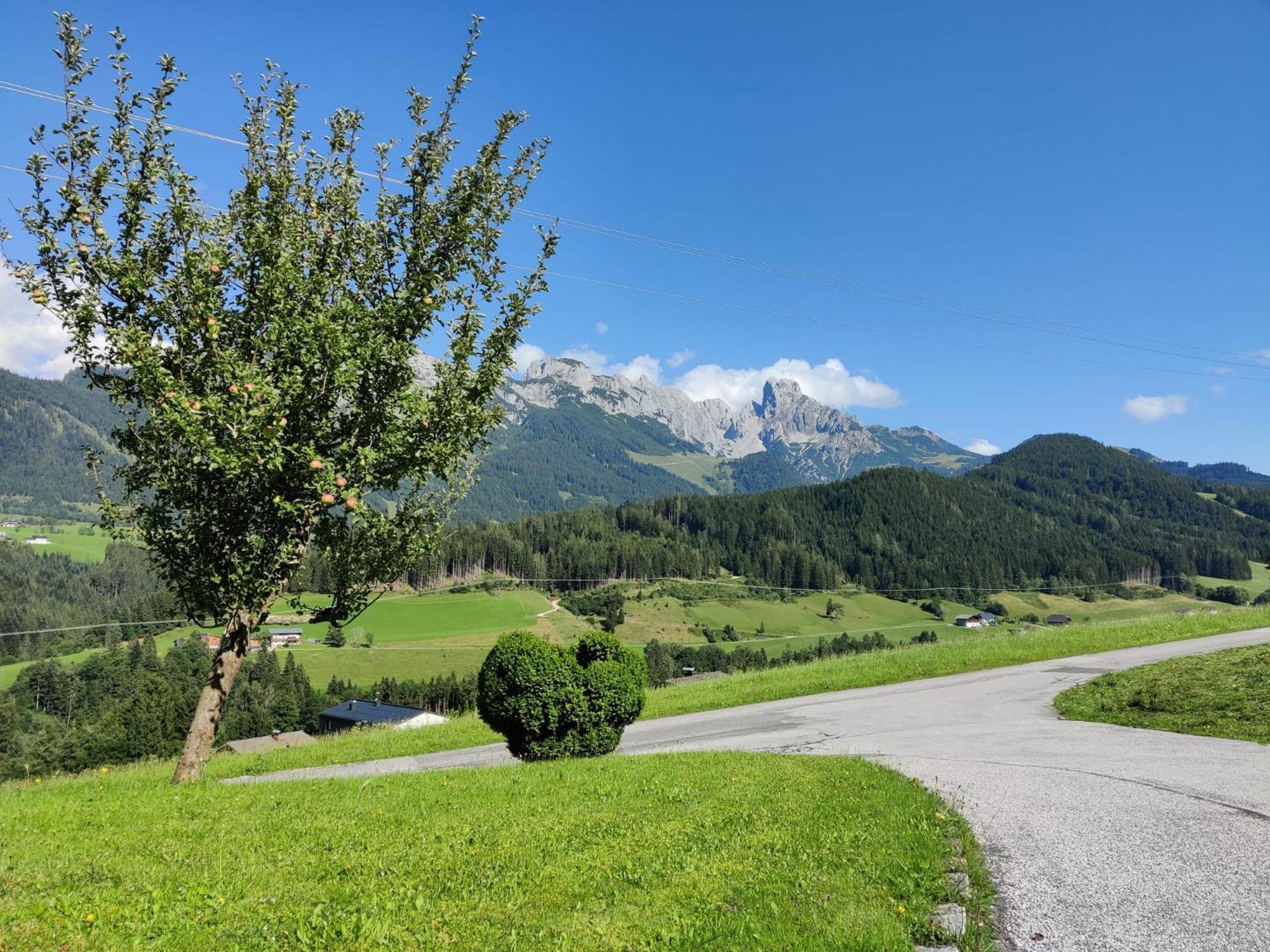 Hefenscherbauer Annaberg im Lammertal Exteriör bild